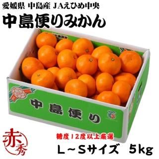 <img class='new_mark_img1' src='https://img.shop-pro.jp/img/new/icons1.gif' style='border:none;display:inline;margin:0px;padding:0px;width:auto;' />みかん 中島便りみかん 赤秀 L〜Sサイズ 5kg 糖度12度以上 度以上 愛媛県 中島産 JAえひめ中央 中島選果場  【11月中旬より順次発送】