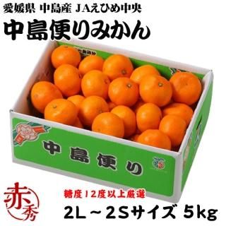 <img class='new_mark_img1' src='https://img.shop-pro.jp/img/new/icons1.gif' style='border:none;display:inline;margin:0px;padding:0px;width:auto;' />みかん 中島便りみかん 赤秀 2L〜2Sサイズ 5kg 糖度12度以上 度以上 愛媛県 中島産 JAえひめ中央 中島選果場  【11月中旬より順次発送】