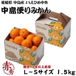<img class='new_mark_img1' src='https://img.shop-pro.jp/img/new/icons1.gif' style='border:none;display:inline;margin:0px;padding:0px;width:auto;' />みかん 中島便りみかん 赤秀 L〜Sサイズ 1.5kg みきゃん箱入り 糖度12度以上 度以上 愛媛県 中島産 JAえひめ中央 中島選果場 蜜柑 ミカン  【11月中旬より順次発送】