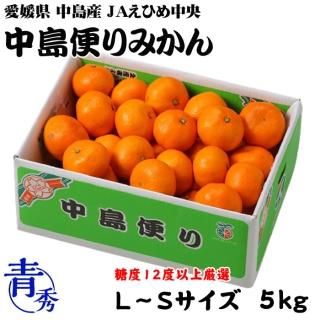 <img class='new_mark_img1' src='https://img.shop-pro.jp/img/new/icons1.gif' style='border:none;display:inline;margin:0px;padding:0px;width:auto;' />みかん 中島便りみかん 青秀 L〜Sサイズ 5kg 糖度12度以上 度以上 愛媛県 中島産 JAえひめ中央 中島選果場  【11月中旬より順次発送】