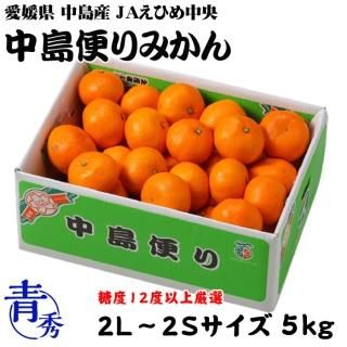 <img class='new_mark_img1' src='https://img.shop-pro.jp/img/new/icons1.gif' style='border:none;display:inline;margin:0px;padding:0px;width:auto;' />みかん 中島便りみかん 青秀 2L〜2Sサイズ 5kg 糖度12度以上 度以上 愛媛県 中島産 JAえひめ中央 中島選果場  【11月中旬より順次発送】