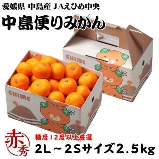 <img class='new_mark_img1' src='https://img.shop-pro.jp/img/new/icons1.gif' style='border:none;display:inline;margin:0px;padding:0px;width:auto;' />みかん 中島便りみかん 赤秀 2L〜2Sサイズ 2.5kg みきゃん箱入り 糖度12度以上 度以上 愛媛県 中島産 JAえひめ中央 中島選果場 蜜柑 ミカン  【11月中旬より順次発送】