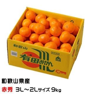 <img class='new_mark_img1' src='https://img.shop-pro.jp/img/new/icons1.gif' style='border:none;display:inline;margin:0px;padding:0px;width:auto;' />みかん 有田みかん 赤秀 3L〜2Lサイズ 9kg 和歌山県産 JAありだ 【10月中旬より順次発送】