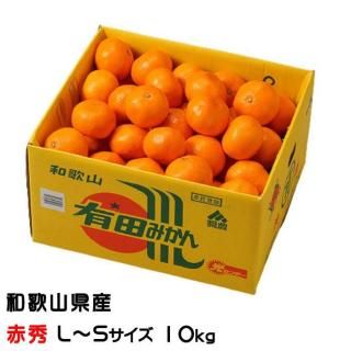 <img class='new_mark_img1' src='https://img.shop-pro.jp/img/new/icons1.gif' style='border:none;display:inline;margin:0px;padding:0px;width:auto;' />みかん 有田みかん 赤秀 L〜Sサイズ 10kg 和歌山県産 JAありだ 【10月中旬より順次発送】