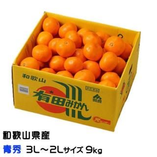 <img class='new_mark_img1' src='https://img.shop-pro.jp/img/new/icons1.gif' style='border:none;display:inline;margin:0px;padding:0px;width:auto;' />みかん 有田みかん 青秀 3L〜2Lサイズ 9kg 和歌山県産 JAありだ 【10月中旬より順次発送】