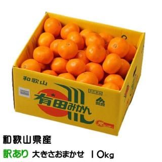 <img class='new_mark_img1' src='https://img.shop-pro.jp/img/new/icons1.gif' style='border:none;display:inline;margin:0px;padding:0px;width:auto;' />みかん 有田みかん 風のいたずら 訳あり大きさおまかせ 10kg 和歌山県産 JAありだ 【10月中旬より順次発送】