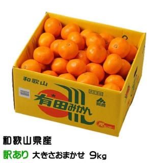 <img class='new_mark_img1' src='https://img.shop-pro.jp/img/new/icons1.gif' style='border:none;display:inline;margin:0px;padding:0px;width:auto;' />みかん 有田みかん 風のいたずら 訳あり大きさおまかせ 9kg 和歌山県産 JAありだ 【10月中旬より順次発送】