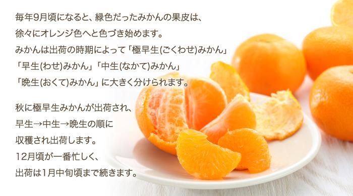 返品送料無料】 lt;7月中下旬頃から順次発送予約販売gt; 摘果みかん 5kg 青みかん グリーンみかん 和歌山 有田みかん ありだみかん rmladv.com.br 返品送料無料】 lt;7月中下旬頃から順次発送予約販売gt; 摘果みかん 5kg 青みかん グリーンみかん 和歌山 有田みかん ありだみかん rmladv.com.br