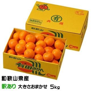 <img class='new_mark_img1' src='https://img.shop-pro.jp/img/new/icons1.gif' style='border:none;display:inline;margin:0px;padding:0px;width:auto;' />みかん 有田みかん 風のいたずら 訳あり大きさおまかせ 5kg 和歌山県産 JAありだ 【10月中旬より順次発送】