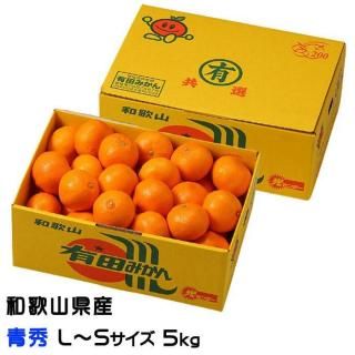 <img class='new_mark_img1' src='https://img.shop-pro.jp/img/new/icons1.gif' style='border:none;display:inline;margin:0px;padding:0px;width:auto;' />みかん 有田みかん 青秀 L〜Sサイズ 5kg 和歌山県産 JAありだ 【10月中旬より順次発送】