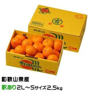 <img class='new_mark_img1' src='https://img.shop-pro.jp/img/new/icons1.gif' style='border:none;display:inline;margin:0px;padding:0px;width:auto;' />みかん 有田みかん 風のいたずら 訳あり 2L〜Sサイズ 2.5kg ★ 和歌山県産 JAありだ 【10月中旬より順次発送】