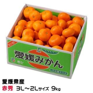 <img class='new_mark_img1' src='https://img.shop-pro.jp/img/new/icons1.gif' style='border:none;display:inline;margin:0px;padding:0px;width:auto;' />みかん 中島みかん 赤秀 3L〜2Lサイズ 9kg 愛媛県産 JAえひめ中央 中島選果場 【11月上旬より順次発送】