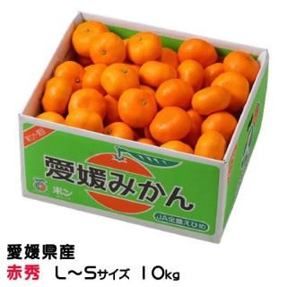 <img class='new_mark_img1' src='https://img.shop-pro.jp/img/new/icons1.gif' style='border:none;display:inline;margin:0px;padding:0px;width:auto;' />みかん 中島みかん 赤秀 L〜Sサイズ 10kg 愛媛県産 JAえひめ中央 中島選果場 【11月上旬より順次発送】