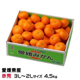 <img class='new_mark_img1' src='https://img.shop-pro.jp/img/new/icons1.gif' style='border:none;display:inline;margin:0px;padding:0px;width:auto;' />みかん 中島みかん 赤秀 3L〜2Lサイズ 4.5kg 愛媛県産 JAえひめ中央 中島選果場 【11月上旬より順次発送】