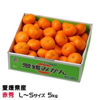 <img class='new_mark_img1' src='https://img.shop-pro.jp/img/new/icons1.gif' style='border:none;display:inline;margin:0px;padding:0px;width:auto;' />みかん 中島みかん 赤秀 L〜Sサイズ 5kg  愛媛県産 JAえひめ中央 中島選果場
