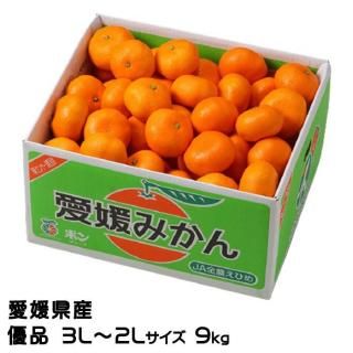 <img class='new_mark_img1' src='https://img.shop-pro.jp/img/new/icons1.gif' style='border:none;display:inline;margin:0px;padding:0px;width:auto;' />みかん 中島みかん 優品 3L〜2Lサイズ 9kg 愛媛県産 JAえひめ中央 中島選果場 【11月上旬より順次発送】