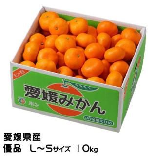 <img class='new_mark_img1' src='https://img.shop-pro.jp/img/new/icons1.gif' style='border:none;display:inline;margin:0px;padding:0px;width:auto;' />みかん 中島みかん 優品 L〜Sサイズ 10kg 愛媛県産 JAえひめ中央 中島選果場 【11月上旬より順次発送】