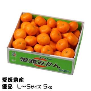 <img class='new_mark_img1' src='https://img.shop-pro.jp/img/new/icons1.gif' style='border:none;display:inline;margin:0px;padding:0px;width:auto;' />みかん 中島みかん 優品 L〜Sサイズ 5kg  愛媛県産 JAえひめ中央 中島選果場