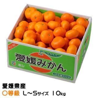 <img class='new_mark_img1' src='https://img.shop-pro.jp/img/new/icons1.gif' style='border:none;display:inline;margin:0px;padding:0px;width:auto;' />みかん 中島みかん 〇等級 L〜Sサイズ 10kg 愛媛県産 JAえひめ中央 中島選果場 【11月上旬より順次発送】