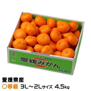 <img class='new_mark_img1' src='https://img.shop-pro.jp/img/new/icons1.gif' style='border:none;display:inline;margin:0px;padding:0px;width:auto;' />みかん 中島みかん 〇等級 3L〜2Lサイズ 4.5kg 愛媛県産 JAえひめ中央 中島選果場 【11月上旬より順次発送】