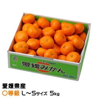 <img class='new_mark_img1' src='https://img.shop-pro.jp/img/new/icons1.gif' style='border:none;display:inline;margin:0px;padding:0px;width:auto;' />みかん 中島みかん 〇等級 L〜Sサイズ 5kg  愛媛県産 JAえひめ中央 中島選果場