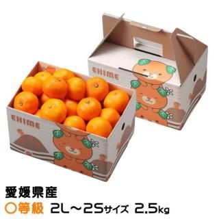 <img class='new_mark_img1' src='https://img.shop-pro.jp/img/new/icons1.gif' style='border:none;display:inline;margin:0px;padding:0px;width:auto;' />みかん 中島みかん 〇等級 2L〜2Sサイズ 2.5kg みきゃん箱入り 愛媛県産 JAえひめ中央 中島選果場