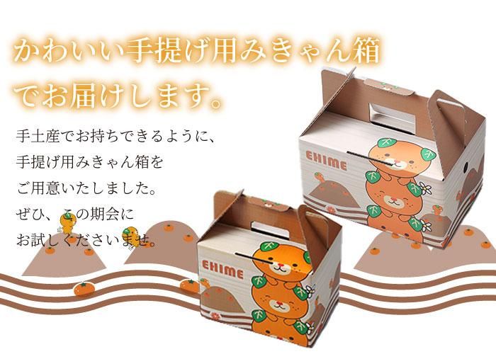 ☆決算特価商品☆ みかん 中島みかん 〇等級 L〜Sサイズ 1.5kg みきゃん箱入り 愛媛県産 JAえひめ中央 中島選果場 ミカン 蜜柑 ギフト  お歳暮 stevengerrardfoundation.org