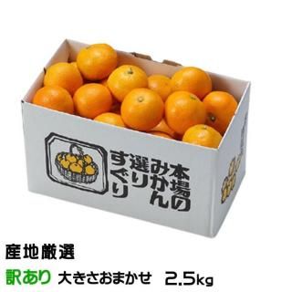 <img class='new_mark_img1' src='https://img.shop-pro.jp/img/new/icons1.gif' style='border:none;display:inline;margin:0px;padding:0px;width:auto;' />みかん 温州みかん 産地厳選 風のいたずら ちょっと訳あり 大きさおまかせ 2.5kg お取り寄せ 【10月上旬より順次発送】