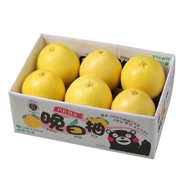 みかん 晩白柚 ばんぺいゆ 秀品 Mサイズ 6玉 7.5kg 熊本県産 JAやつ 