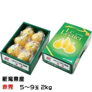 <img class='new_mark_img1' src='https://img.shop-pro.jp/img/new/icons1.gif' style='border:none;display:inline;margin:0px;padding:0px;width:auto;' />���� ��쥯���� �ֽ� 5�̡�9�� 2kg ���㸩�� �ʣ����� �� �ʥ� �ʤ� ���ե� ��11��ܤ��缡ȯ����