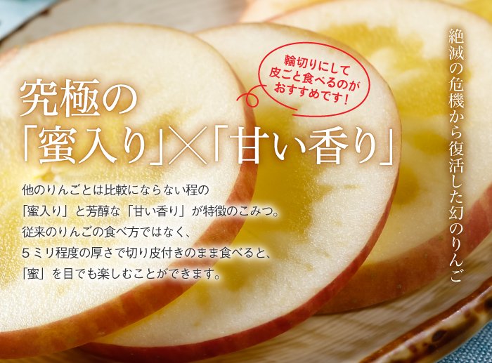 お歳暮 りんご こみつ 特選 6～9玉 2kg 究極の蜜入りりんご 青森県産