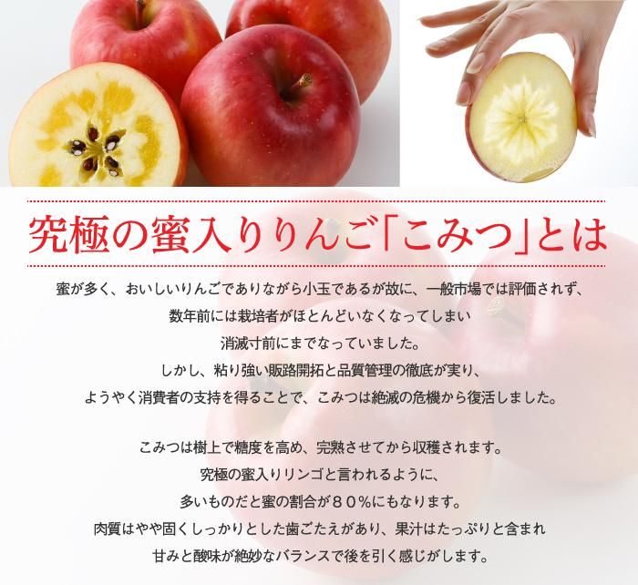 みつりんご　オーダーについて お歳暮 りんご こみつ 特選 6～13玉 2kg 究極の蜜入りりんご 青森県産