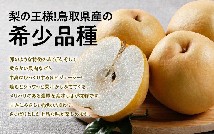 梨 王秋梨 おうしゅうなし 赤秀 大玉 6～12玉 5kg 鳥取県産 JAとっとり 梨 ナシ なし お歳暮【11月上旬より順次発送】 - はちやフルーツ