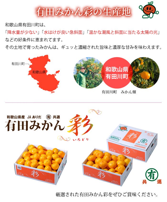 2021新商品 小原紅早生みかん 約５kg〔提供 フルーツ・果物