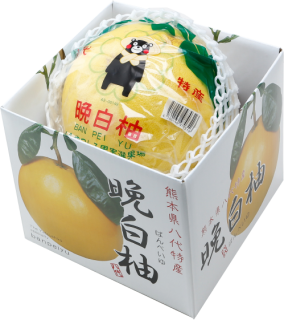 みかん 柑橘類 はちやフルーツ みかん 柑橘類 はちやフルーツ