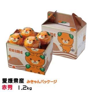 <img class='new_mark_img1' src='https://img.shop-pro.jp/img/new/icons1.gif' style='border:none;display:inline;margin:0px;padding:0px;width:auto;' />みかん 中島みかん みきゃんパッケージ 赤秀 1.2kg 8〜12玉 愛媛県産 JAえひめ中央 中島選果場 【11月上旬より順次発送】