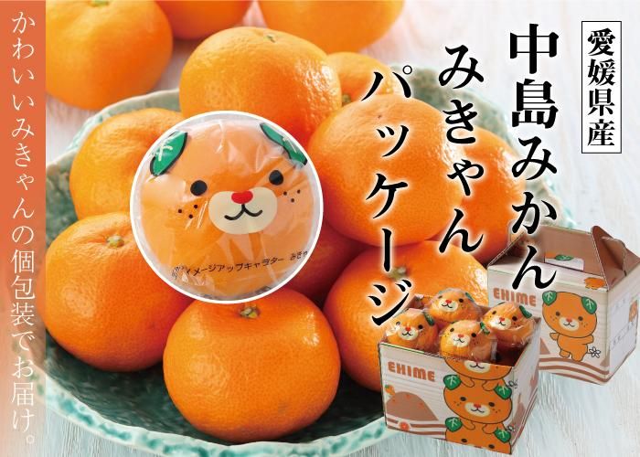 お歳暮 みかん 中島みかん みきゃんパッケージ 優品 8 15玉 1 2kg 愛媛県産 Jaえひめ中央 中島選果場 ミカン 蜜柑 はちやフルーツ お歳暮 みかん 中島みかん みきゃんパッケージ 優品 8 15玉 1 2kg 愛媛県産 Jaえひめ中央 中島選果場 ミカン 蜜柑 はちやフルーツ