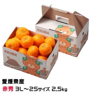  ߤ ϤҤ ֽ 3L2S 2.5kg ߤȢ ɲ JAҤ ̾ ߥ ̪ 12ܤ缡ȯ