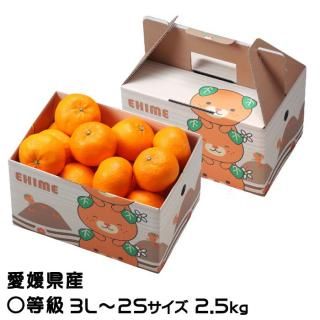  ߤ ϤҤ  3L2S 2.5kg ߤȢ ɲ JAҤ ̾ ߥ ̪ 12ܤ缡ȯ