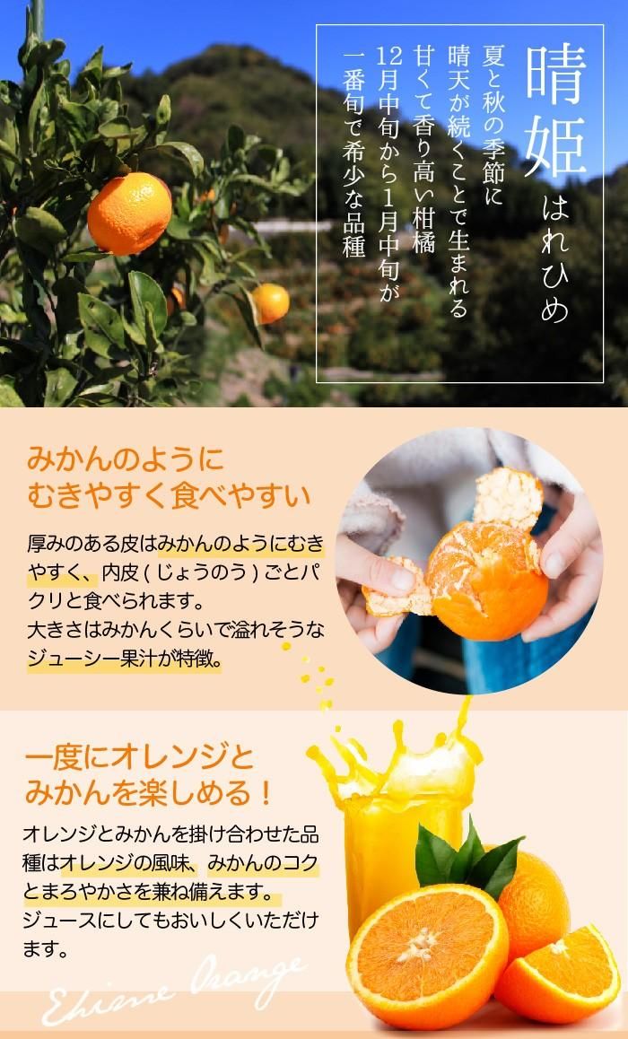 最愛 みかん 中島みかん 訳あり 大きさおまかせ 9kg 愛媛県産 JAえひめ中央 中島選果場 ミカン 蜜柑 ギフト お歳暮 www.tsujide.co.jp 最愛 みかん 中島みかん 訳あり 大きさおまかせ 9kg 愛媛県産 JAえひめ中央 中島選果場 ミカン 蜜柑 ギフト お歳暮 www.tsujide.co.jp