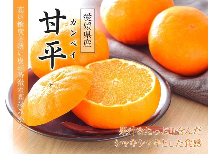 みかん 甘平 かんぺい 中島便り 匠と極 4L~3Lサイズ 8~10玉 3Kg 愛媛 ...