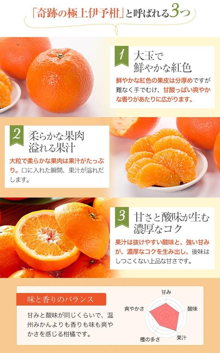みかん 宮内伊予甘 中島便り 匠と極 8 12玉 2kg Jaえひめ中央 愛媛県産 中島産 ミカン 蜜柑 いよかん 1月上旬より発送 はちやフルーツ