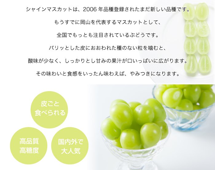 ぶどう シャインマスカット 摘み落とし 風のいたずら 訳あり 200g×6