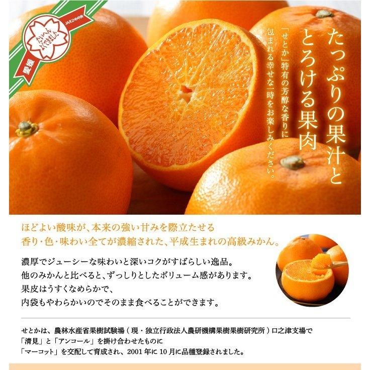 みかん せとか みきゃんパッケージ 赤秀 10～15玉 3Kg みきゃん箱入り 愛媛県産 ミカン 蜜柑 ギフト 贈り物 - はちやフルーツ