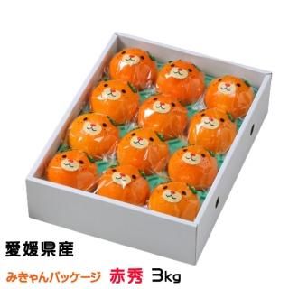 せとか - はちやフルーツ