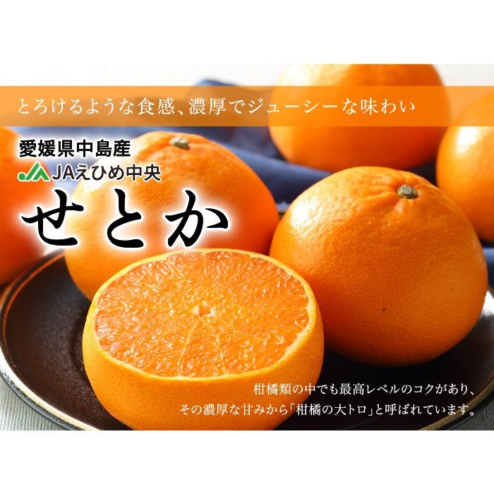 みかん せとか みきゃんパッケージ 赤秀 2l Mサイズ 6 10玉 1 5kg みきゃん箱入り 愛媛県産 ミカン 蜜柑 ギフト 贈り物 はちやフルーツ