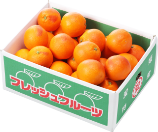 みかん 柑橘類 はちやフルーツ みかん 柑橘類 はちやフルーツ