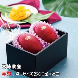 ޥ󥴡 ߤ䤶ϥޥ󥴡  ֽ 4L 500gʾ2 ܺ긩 ʣܺкϢ ե 󤻥 4ܤ缡ȯ