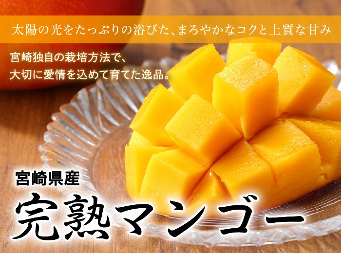 マンゴー みやざき完熟マンゴー 赤秀 2Lサイズ 350g以上×1玉 宮崎県産