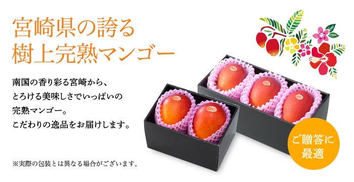 マンゴー みやざき完熟マンゴー 赤秀 2Lサイズ 350g以上×1玉 宮崎県産